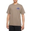 Camiseta Masculina Nike SB Logo Marrom-DC7817-249- -1-